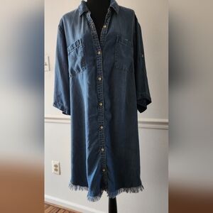 Denim Button-Up Shirt Dress